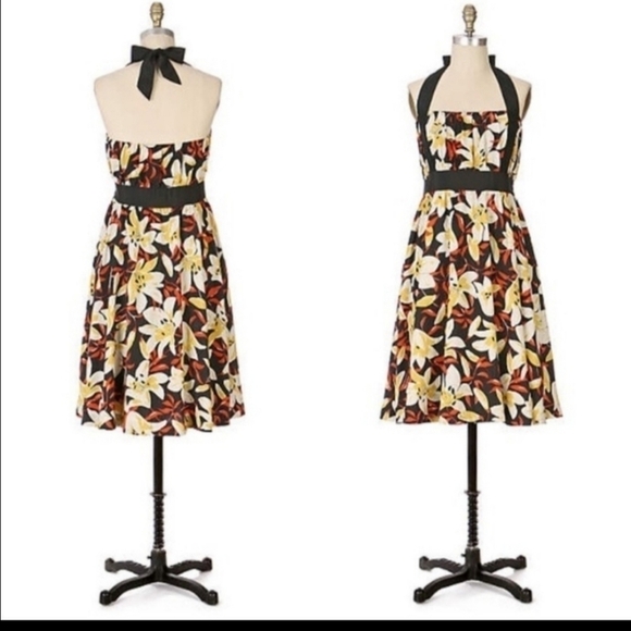 Anthropologie Dresses & Skirts - Moulinette Soeurs Mayflower Lily silk dress 8